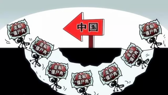 僵尸肉.png 僵尸肉.png