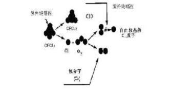 圖片2.jpg image